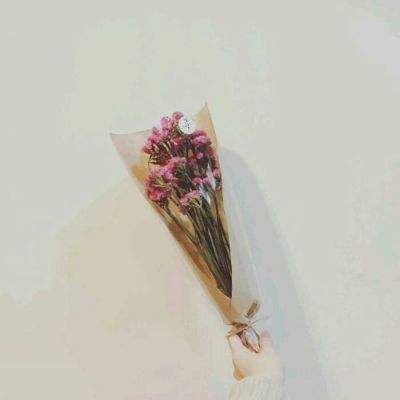 萌娘契约360版下载